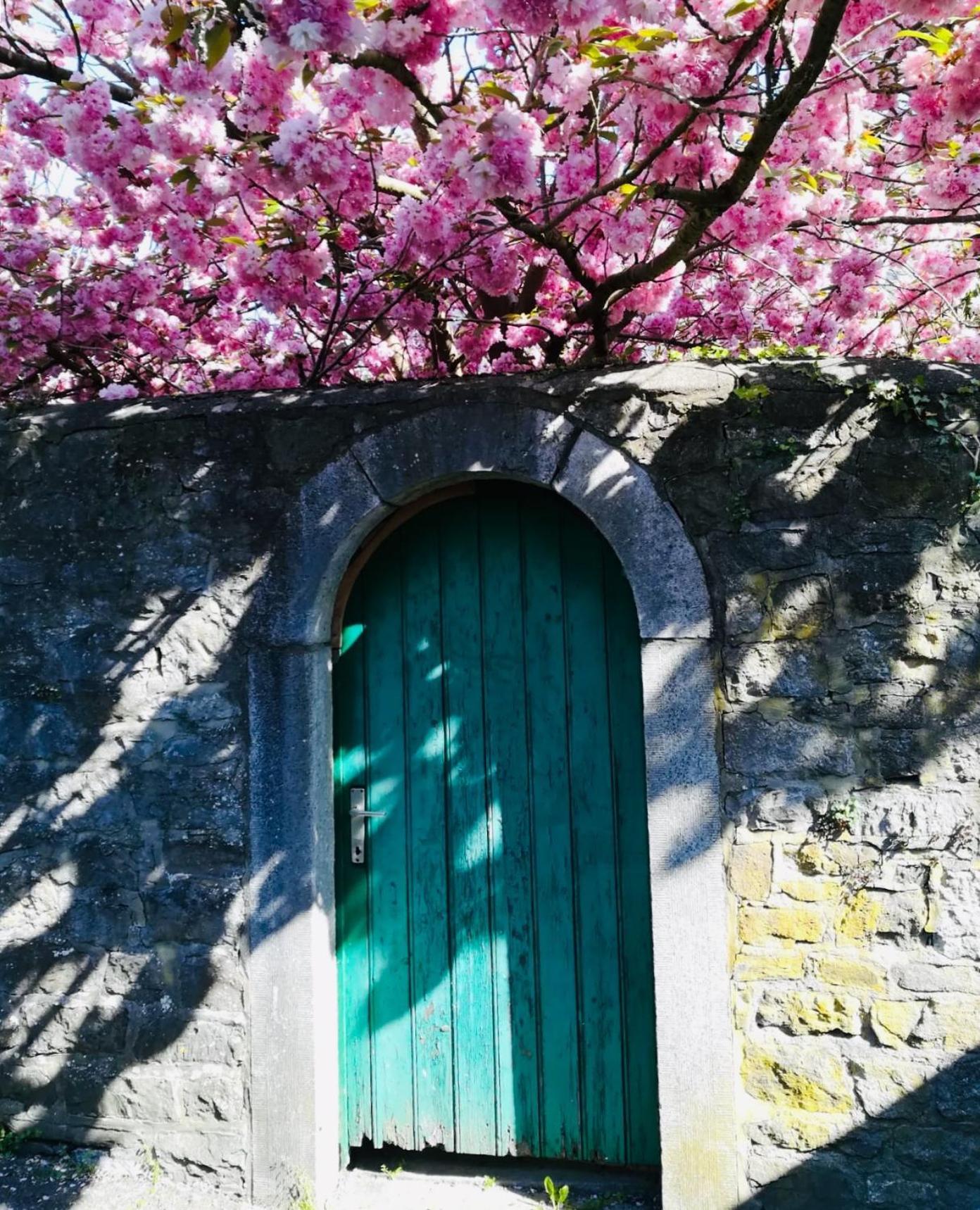 B&B La Ruelle Profondeville Eksteriør billede